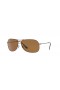 Ray-Ban RB3267 L (64 - 13) med Brune linser og Brown frame Solbriller