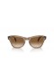 Ray-Ban RB0707S XL (53 - 21) med Brune linser og Brown frame Solbriller