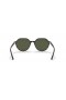 Ray-Ban RB2195 Thalia S (53 - 18) med Grønne linser og Tortoise frame Solbriller