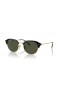 Ray-Ban RB4429 XL (53 - 20) med Grønne linser og Svart frame Solbriller