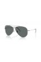 Ray-Ban RBR0101S Aviator Omvendt L (59 - 11) med Grå linser og Sølv frame Solbriller