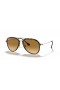 Ray-Ban RB4298 XXL (57 - 17) med Brune linser og Tortoise frame Solbriller