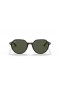 Ray-Ban RB2195 Thalia S (53 - 18) med Grønne linser og Tortoise frame Solbriller