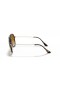 Ray-Ban RB4298 XXL (57 - 17) med Brune linser og Tortoise frame Solbriller
