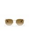 Ray-Ban RB3548 Sekskantet M (51 - 21) med Brune linser og Gull frame Solbriller