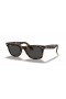 Ray-Ban RB2140 Original Wayfarer Bicolor L (50 - 22) med Grå linser og Tortoise frame Solbriller