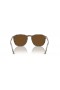 Ray-Ban RB2203 L (55 - 20) med Brune linser og Tortoise frame Solbriller