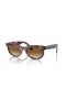 Ray-Ban RB2242 Wayfarer Oval L (53 - 22) med Brune linser og Tortoise frame Solbriller