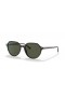 Ray-Ban RB2195 Thalia S (53 - 18) med Grønne linser og Tortoise frame Solbriller