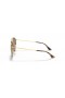 Ray-Ban RB3647N Runde Dobbel Bro M (51 - 22) med Brune linser og Gull frame Solbriller