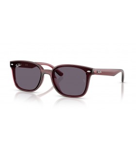 Ray-Ban RB4461D L (64 - 17) med Fiolett linser og Brown frame Solbriller