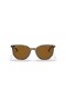 Okulary przeciwsłoneczne Ray-Ban RB2197 Elliot S (52-19) z brązowymi soczewkami i brązowej oprawce
