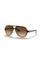 Okulary przeciwsłoneczne Ray-Ban Cats 5000 RB4125 Classic M (59-13) z brązowymi soczewkami i черепаховой oprawce
