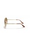 Ray-Ban RB3689 Aviator Metal II M (55 - 14), cu lentile Maro și de Aur cadru ochelari de Soare