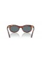 Ray-Ban RB2242 Wayfarer Oval M (50 - 22), cu lentile Albastre și Maro cadru ochelari de Soare