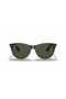 Ray-Ban RB2185 Wayfarer II Classic L (55 - 18) cu lentile Verzi și Negre, ochelari de Soare cadru
