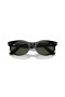 Ray-Ban RB2242 Wayfarer Oval L (53 - 22), cu lentile Verzi și Negre, ochelari de Soare cadru