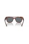 Ray-Ban RB4426 Phil Bio pe Baza de L (54 - 21), cu lentile Albastre și Maro cadru ochelari de Soare