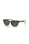 Ray-Ban RB4140 S (49 - 20), cu lentile Verzi și Negre, ochelari de Soare cadru