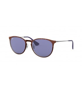 Ray-Ban RB3539 Erika Metal M (54 - 19) cu Violet lentile și broasca Țestoasă, ochelari de Soare cadru