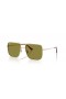 Ray-Ban RB3758 Ari Bio M (54 - 16) so Zeleným šošovky a Zlato rámom slnečné Okuliare