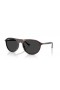 Ray-Ban RB2215 XL (56 - 20) s Čierne šošovky a Korytnačka rámom slnečné Okuliare