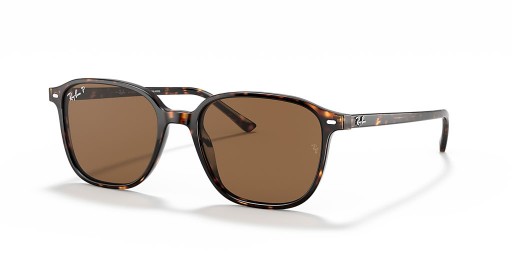Ray-Ban RB2193 너 M(53-18)으로 브라운 렌즈와 거북이는 프레임 선글라스
