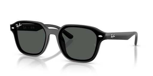 Ray-Ban RB4458D XL(65-18)그레이트 렌즈 및 프레임 검 선글라스