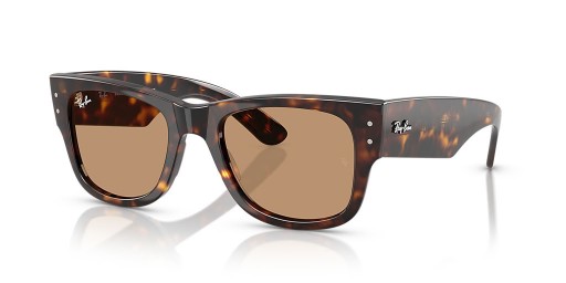 Ray-Ban RB0840S 메가 Wayfarer 여름 캡슐 M(51-21)으로 브라운 렌즈와 거북이는 프레임 선글라스