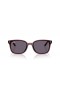 Ray-Ban RB4461D L(64-17)바이올렛 렌즈와 브라운 구조 색안경