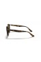 Ray-Ban RB2180M(49-21)으로 브라운 렌즈와 거북이는 프레임 선글라스