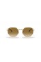 Ray-Ban RB3565 잭 XL(55-20)으로 브라운 렌즈 및 프레임이 금 선글라스