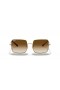 Ray-Ban RB1971 스퀘어 1971 년 Classic L(54-19)으로 브라운 렌즈 및 프레임이 금 선글라스