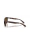 Ray-Ban RB2389Balorette M(57-19)으로 브라운 렌즈와 거북이는 프레임 선글라스