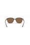 Ray-Ban RB2193 너 M(53-18)으로 브라운 렌즈와 거북이는 프레임 선글라스