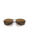Ray-Ban RB3498XXL(61-17)으로 브라운 렌즈와 은색 구조 색안경
