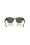 Ray-Ban RB4194L(53-17)녹색 렌즈 및 녹색 구조 색안경