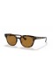 Ray-Ban RB4324L(50-21)으로 브라운 렌즈와 거북이는 프레임 선글라스