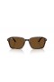 Ray-Ban RB2231F Raimond L(56-18)으로 브라운 렌즈와 거북이는 프레임 선글라스