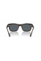 Ray-Ban RB4428L(56-21)색으로 렌즈와 거북이는 프레임 선글라스