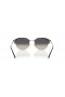 Ray-Ban RB4429XL(53-20)그레이트 렌즈 회색 구조 색안경