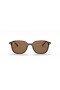 Ray-Ban RB2193 너 M(53-18)으로 브라운 렌즈와 거북이는 프레임 선글라스