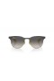 Ray-Ban RB8327M Scuderia 페라리 컬렉션 L(53-20)그레이트 렌즈 회색 구조 색안경