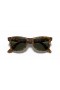Ray-Ban RB4340Wayfarer 편 M(50-22 일)녹색 렌즈와 거북이는 프레임 선글라스