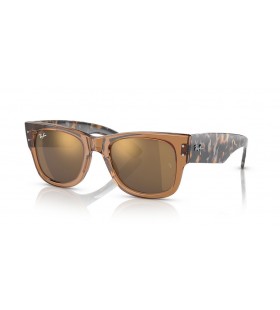Ray-Ban RB0840S 메가 Wayfarer M(51-21)금으로 렌즈와 브라운 구조 색안경