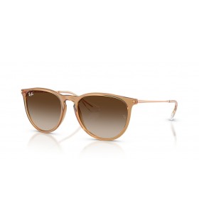 Ray-Ban RB4171 에리카 고전 M(54-18)으로 브라운 렌즈와 브라운 구조 색안경