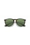 Sunčane naočale Ray-Ban RB4171 Erika Color Mix M (54-18) sa zelenim staklima i черепаховой okvir