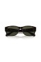 Sunčane naočale Ray-Ban RB4388 L (58-18) sa zelenim staklima i черепаховой okvir