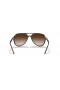 Sunčane naočale Ray-Ban RB4376 L (57-16) sa smeđim staklima i черепаховой okvir
