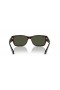 Sunčane naočale Ray-Ban RB4388 L (58-18) sa zelenim staklima i черепаховой okvir